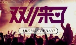 十周年爆料大结局视频在线观看,揭秘幕后真相，精彩瞬间回顾