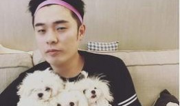 陈赫爆料视频合集下载,揭秘娱乐圈幕后故事